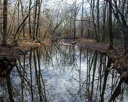 Woolly Hollow: Huckleberry Trail - 3 mi photo Woolly Hollow: Huckleberry Trail - 3 mi photo