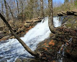 Woolly Hollow: Huckleberry Trail - 3 mi photo Woolly Hollow: Huckleberry Trail - 3 mi photo