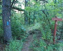 Ouachita Trail: 08.0-13.4 - Deadman's Gap to Cedar Branch to Wildhorse Creek (Section 1) photo