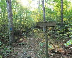 Ouachita Trail: 08.0-13.4 - Deadman's Gap to Cedar Branch to Wildhorse Creek (Section 1) photo Ouachita Trail: 08.0-13.4 - Deadman's Gap to Cedar Branch to Wildhorse Creek (Section 1) photo