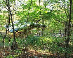 Ouachita Trail: 08.0-13.4 - Deadman's Gap to Cedar Branch to Wildhorse Creek (Section 1) photo Ouachita Trail: 08.0-13.4 - Deadman's Gap to Cedar Branch to Wildhorse Creek (Section 1) photo