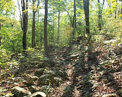 Ouachita Trail: 08.0-13.4 - Deadman's Gap to Cedar Branch to Wildhorse Creek (Section 1) photo Ouachita Trail: 08.0-13.4 - Deadman's Gap to Cedar Branch to Wildhorse Creek (Section 1) photo