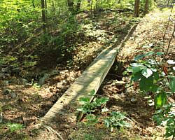 Ouachita Trail: 08.0-13.4 - Deadman's Gap to Cedar Branch to Wildhorse Creek (Section 1) photo Ouachita Trail: 08.0-13.4 - Deadman's Gap to Cedar Branch to Wildhorse Creek (Section 1) photo