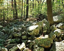 Ouachita Trail: 08.0-13.4 - Deadman's Gap to Cedar Branch to Wildhorse Creek (Section 1) photo Ouachita Trail: 08.0-13.4 - Deadman's Gap to Cedar Branch to Wildhorse Creek (Section 1) photo
