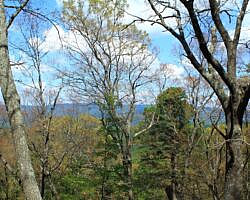 Ouachita Trail: 08.0-13.4 - Deadman's Gap to Cedar Branch to Wildhorse Creek (Section 1) photo Ouachita Trail: 08.0-13.4 - Deadman's Gap to Cedar Branch to Wildhorse Creek (Section 1) photo