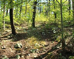 Ouachita Trail: 08.0-13.4 - Deadman's Gap to Cedar Branch to Wildhorse Creek (Section 1) photo Ouachita Trail: 08.0-13.4 - Deadman's Gap to Cedar Branch to Wildhorse Creek (Section 1) photo