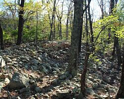 Ouachita Trail: 08.0-13.4 - Deadman's Gap to Cedar Branch to Wildhorse Creek (Section 1) photo Ouachita Trail: 08.0-13.4 - Deadman's Gap to Cedar Branch to Wildhorse Creek (Section 1) photo