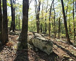 Ouachita Trail: 08.0-13.4 - Deadman's Gap to Cedar Branch to Wildhorse Creek (Section 1) photo Ouachita Trail: 08.0-13.4 - Deadman's Gap to Cedar Branch to Wildhorse Creek (Section 1) photo