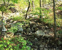 Ouachita Trail: 08.0-13.4 - Deadman's Gap to Cedar Branch to Wildhorse Creek (Section 1) photo Ouachita Trail: 08.0-13.4 - Deadman's Gap to Cedar Branch to Wildhorse Creek (Section 1) photo