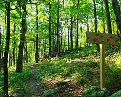 Ouachita Trail: 13.4-19.9 Wildhorse Creek to Holson Valley Vista to Horsethief Springs (Section 1) photo Ouachita Trail: 13.4-19.9 Wildhorse Creek to Holson Valley Vista to Horsethief Springs (Section 1) photo