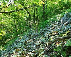 Ouachita Trail: 13.4-19.9 Wildhorse Creek to Holson Valley Vista to Horsethief Springs (Section 1) photo Ouachita Trail: 13.4-19.9 Wildhorse Creek to Holson Valley Vista to Horsethief Springs (Section 1) photo