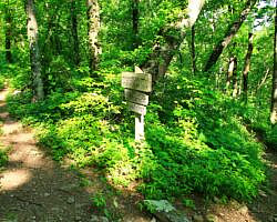 Ouachita Trail: 13.4-19.9 Wildhorse Creek to Holson Valley Vista to Horsethief Springs (Section 1) photo Ouachita Trail: 13.4-19.9 Wildhorse Creek to Holson Valley Vista to Horsethief Springs (Section 1) photo