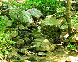 Ouachita Trail: 13.4-19.9 Wildhorse Creek to Holson Valley Vista to Horsethief Springs (Section 1) photo Ouachita Trail: 13.4-19.9 Wildhorse Creek to Holson Valley Vista to Horsethief Springs (Section 1) photo