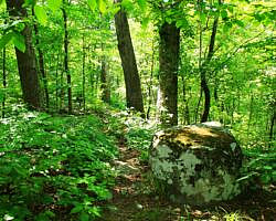 Ouachita Trail: 13.4-19.9 Wildhorse Creek to Holson Valley Vista to Horsethief Springs (Section 1) photo Ouachita Trail: 13.4-19.9 Wildhorse Creek to Holson Valley Vista to Horsethief Springs (Section 1) photo
