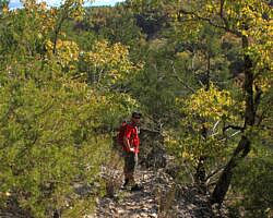 Rush Mine Level Trail (Buffalo River) – 3 mi (o&b) photo Rush Mine Level Trail (Buffalo River) – 3 mi (o&b) photo