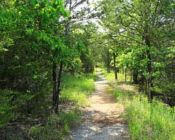Rush Mine Level Trail (Buffalo River) – 3 mi (o&b) photo Rush Mine Level Trail (Buffalo River) – 3 mi (o&b) photo