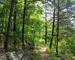 Rush Mine Level Trail (Buffalo River) – 3 mi (o&b) photo Rush Mine Level Trail (Buffalo River) – 3 mi (o&b) photo