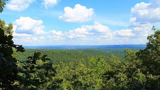 Brushy Creek Trail Loop (Ouachita Forest) – 7 mi photo Brushy Creek Trail Loop (Ouachita Forest) – 7 mi photo