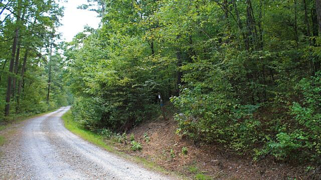 Brushy Creek Trail Loop (Ouachita Forest) – 7 mi photo Brushy Creek Trail Loop (Ouachita Forest) – 7 mi photo