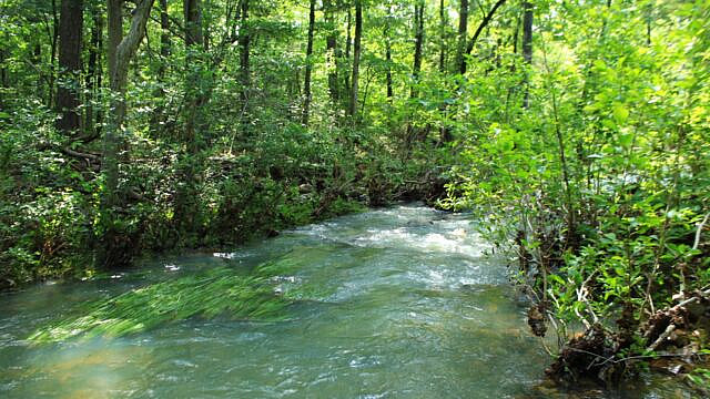 Brushy Creek Trail Loop (Ouachita Forest) – 7 mi photo Brushy Creek Trail Loop (Ouachita Forest) – 7 mi photo