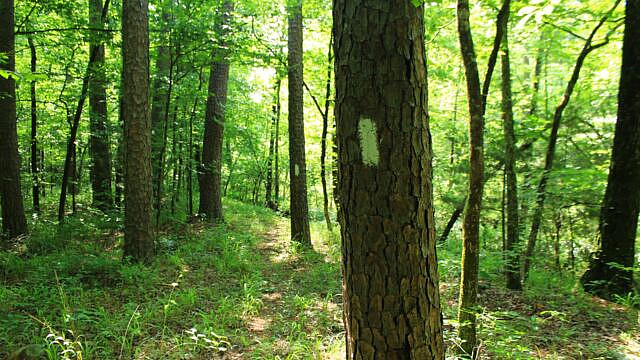 Brushy Creek Trail Loop (Ouachita Forest) – 7 mi photo Brushy Creek Trail Loop (Ouachita Forest) – 7 mi photo