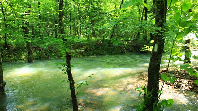 Brushy Creek Trail Loop (Ouachita Forest) – 7 mi photo Brushy Creek Trail Loop (Ouachita Forest) – 7 mi photo