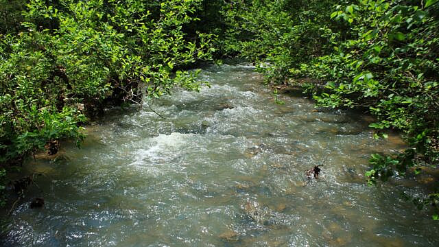 Brushy Creek Trail Loop (Ouachita Forest) – 7 mi photo Brushy Creek Trail Loop (Ouachita Forest) – 7 mi photo