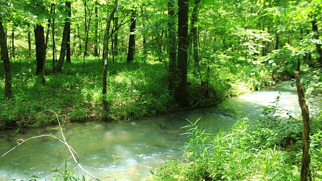 Brushy Creek Trail Loop (Ouachita Forest) – 7 mi photo Brushy Creek Trail Loop (Ouachita Forest) – 7 mi photo
