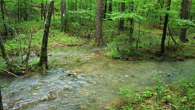 Brushy Creek Trail Loop (Ouachita Forest) – 7 mi photo Brushy Creek Trail Loop (Ouachita Forest) – 7 mi photo