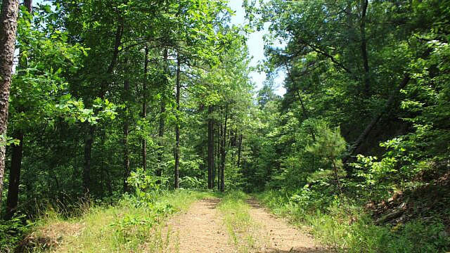 Brushy Creek Trail Loop (Ouachita Forest) – 7 mi photo Brushy Creek Trail Loop (Ouachita Forest) – 7 mi photo