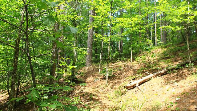 Brushy Creek Trail Loop (Ouachita Forest) – 7 mi photo Brushy Creek Trail Loop (Ouachita Forest) – 7 mi photo