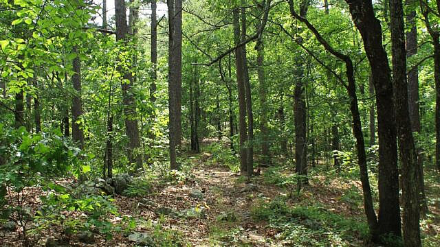 Brushy Creek Trail Loop (Ouachita Forest) – 7 mi photo Brushy Creek Trail Loop (Ouachita Forest) – 7 mi photo
