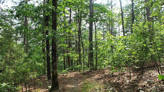 Brushy Creek Trail Loop (Ouachita Forest) – 7 mi photo Brushy Creek Trail Loop (Ouachita Forest) – 7 mi photo