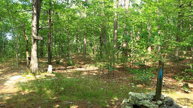 Brushy Creek Trail Loop (Ouachita Forest) – 7 mi photo Brushy Creek Trail Loop (Ouachita Forest) – 7 mi photo