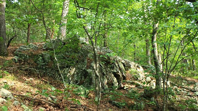 Brushy Creek Trail Loop (Ouachita Forest) – 7 mi photo Brushy Creek Trail Loop (Ouachita Forest) – 7 mi photo
