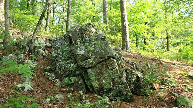 Brushy Creek Trail Loop (Ouachita Forest) – 7 mi photo Brushy Creek Trail Loop (Ouachita Forest) – 7 mi photo