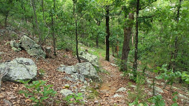 Brushy Creek Trail Loop (Ouachita Forest) – 7 mi photo Brushy Creek Trail Loop (Ouachita Forest) – 7 mi photo