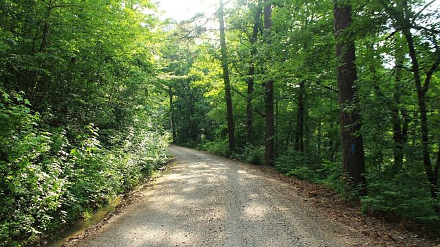 Brushy Creek Trail Loop (Ouachita Forest) – 7 mi photo Brushy Creek Trail Loop (Ouachita Forest) – 7 mi photo