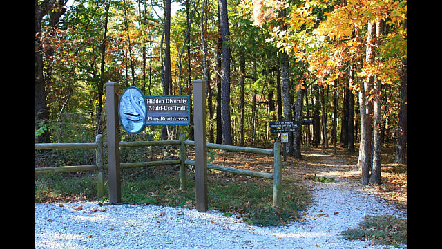 Hobbs: Hidden Diversity - Bashore Ridge Loop - 4 mi photo Hobbs: Hidden Diversity - Bashore Ridge Loop - 4 mi photo