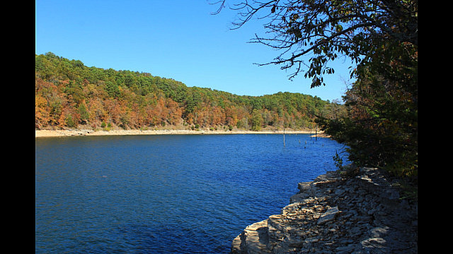 Hobbs: Hidden Diversity - Bashore Ridge Loop - 4 mi photo Hobbs: Hidden Diversity - Bashore Ridge Loop - 4 mi photo