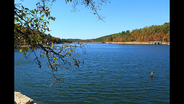 Hobbs: Hidden Diversity - Bashore Ridge Loop - 4 mi photo Hobbs: Hidden Diversity - Bashore Ridge Loop - 4 mi photo