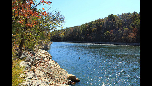 Hobbs: Hidden Diversity - Bashore Ridge Loop - 4 mi photo Hobbs: Hidden Diversity - Bashore Ridge Loop - 4 mi photo