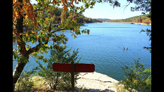 Hobbs: Hidden Diversity - Bashore Ridge Loop - 4 mi photo Hobbs: Hidden Diversity - Bashore Ridge Loop - 4 mi photo