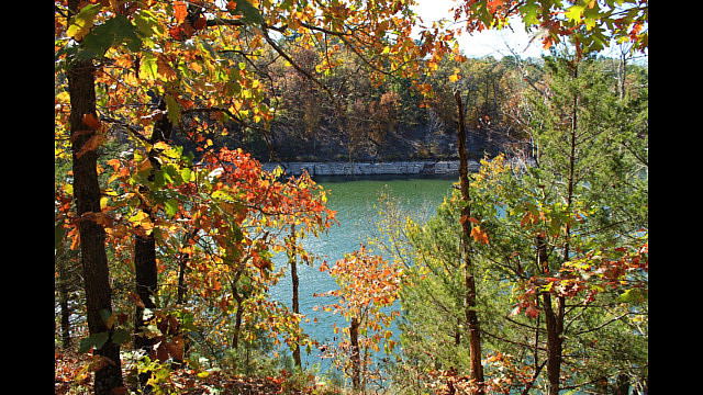 Hobbs: Hidden Diversity - Bashore Ridge Loop - 4 mi photo Hobbs: Hidden Diversity - Bashore Ridge Loop - 4 mi photo