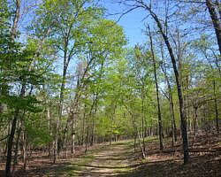 Norfork Lake: Robinson Point Trail --3 mi photo Norfork Lake: Robinson Point Trail --3 mi photo