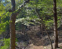Norfork Lake: Robinson Point Trail --3 mi photo Norfork Lake: Robinson Point Trail --3 mi photo