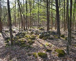 Norfork Lake: Robinson Point Trail --3 mi photo Norfork Lake: Robinson Point Trail --3 mi photo
