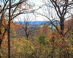 Hobbs: Hidden Diversity – War Eagle Valley Loop – 6 mi photo Hobbs: Hidden Diversity – War Eagle Valley Loop – 6 mi photo