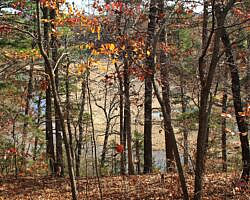 Hobbs: Hidden Diversity – War Eagle Valley Loop – 6 mi photo Hobbs: Hidden Diversity – War Eagle Valley Loop – 6 mi photo
