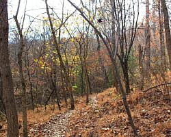 Hobbs: Hidden Diversity – War Eagle Valley Loop – 6 mi photo Hobbs: Hidden Diversity – War Eagle Valley Loop – 6 mi photo